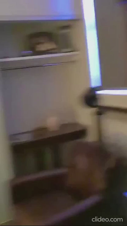 Tree Branch Decorative LED Lights